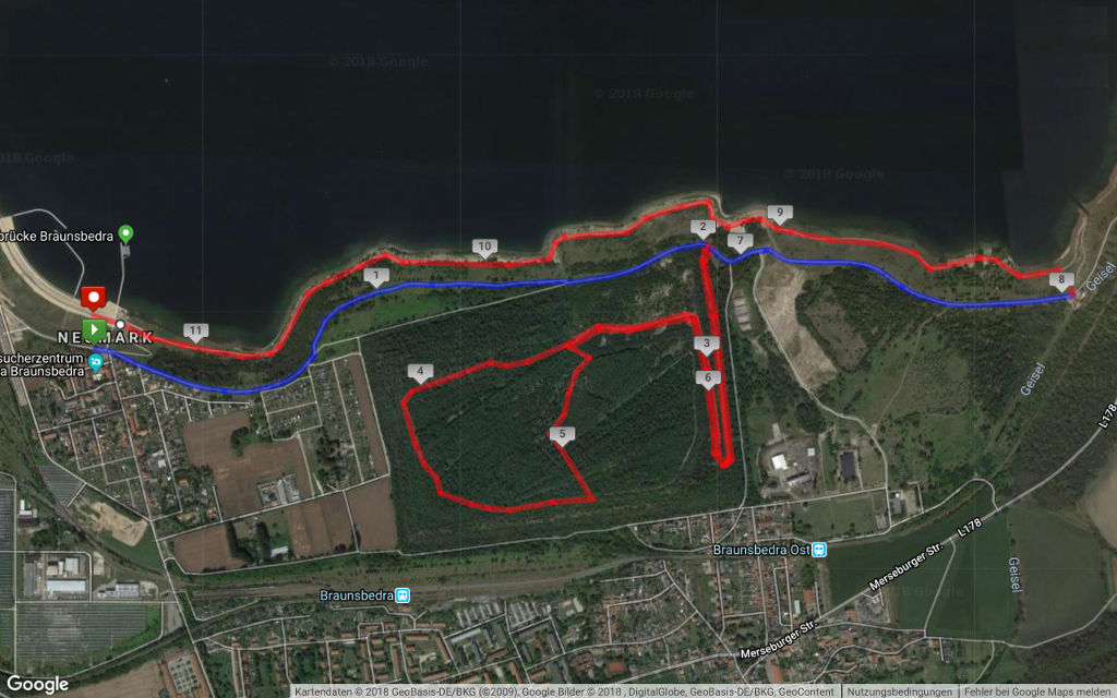 Geiseltalseelauf - 11.5 km course map